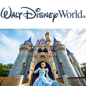 WDW Square.jpg